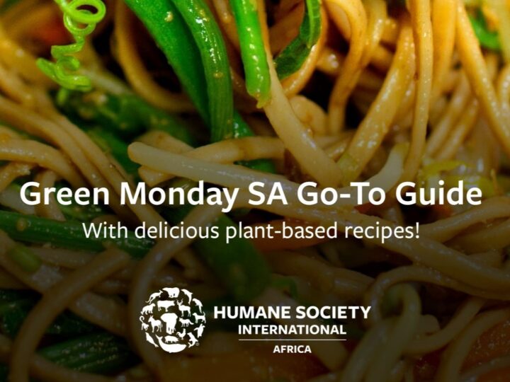 Your Green Monday Go-To Guide